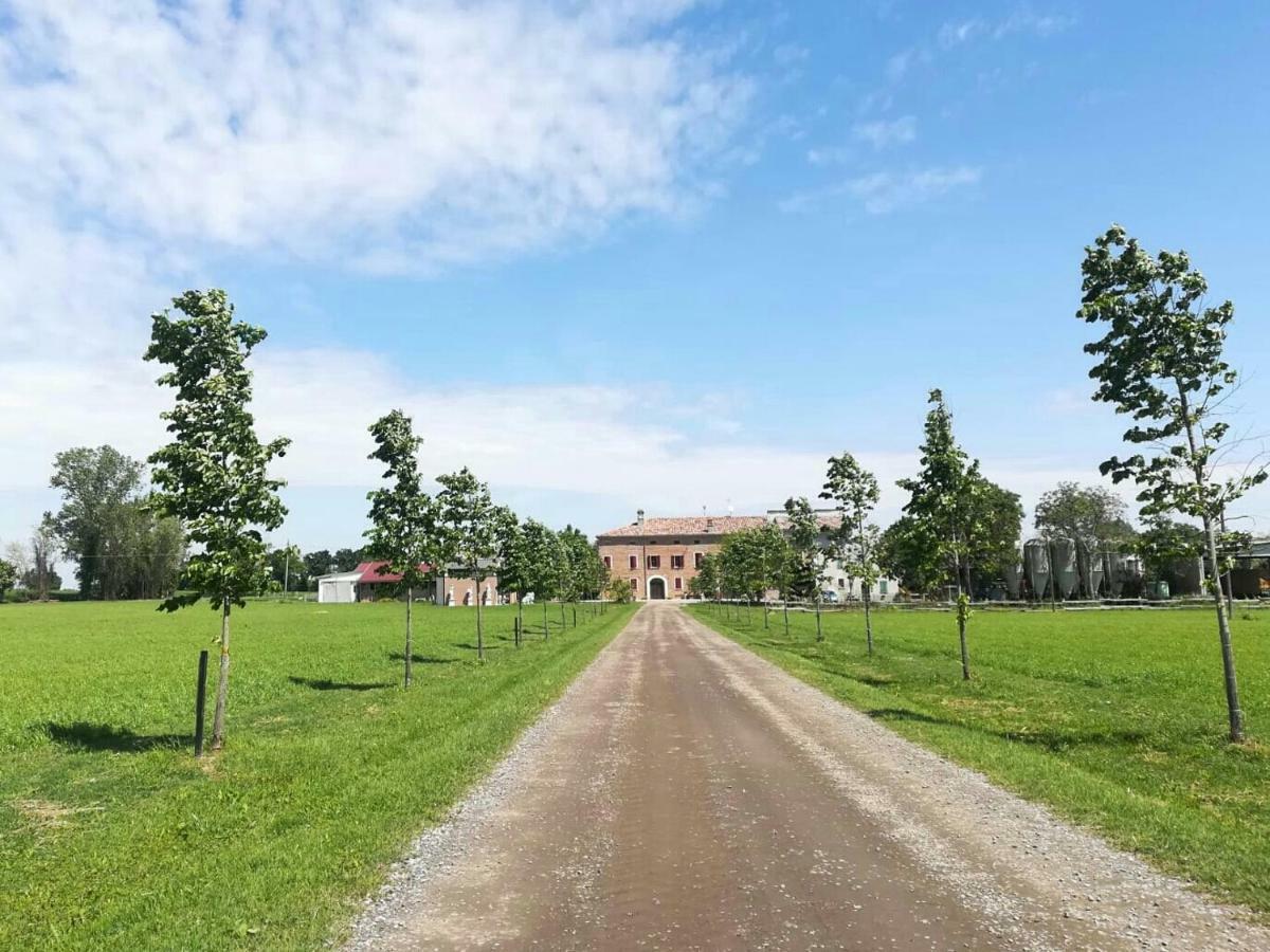 New Flowers Farm B&B Ночето Екстер'єр фото